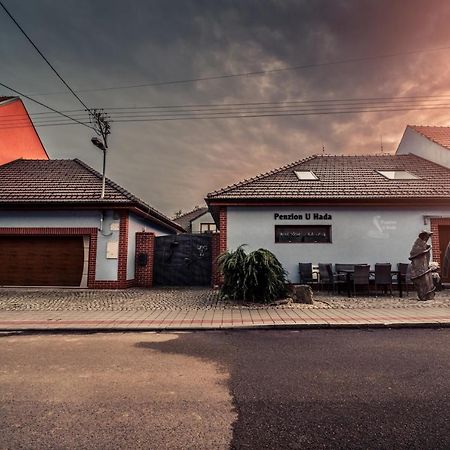 Penzion U Hada Velke Pavlovice Luaran gambar
