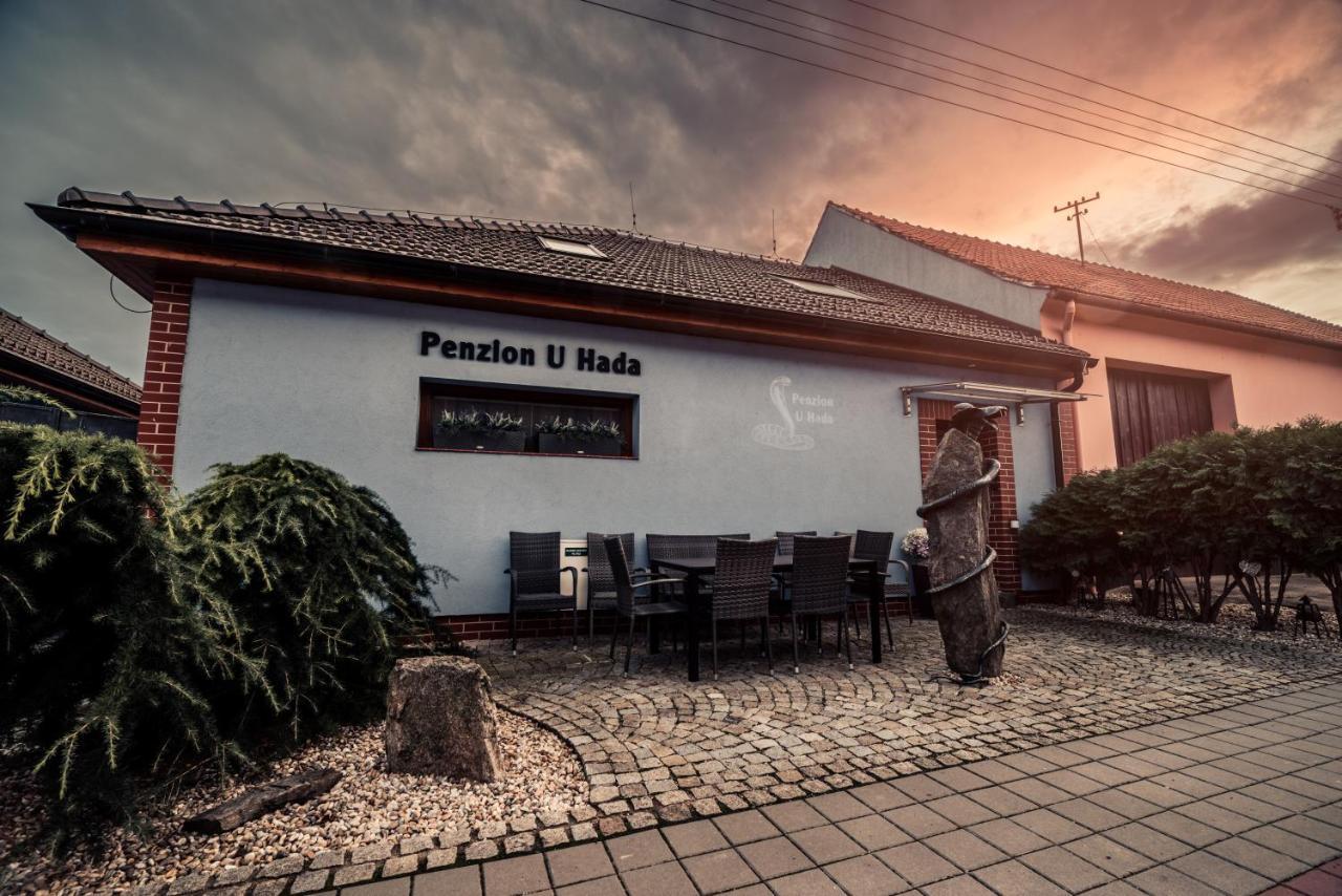 Penzion U Hada Velke Pavlovice Luaran gambar